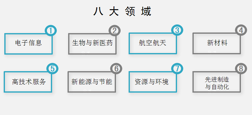 八大領(lǐng)域包括：電子信息、生物與新醫(yī)藥、航空航天、新材料、高技術(shù)服務(wù)、新能源與節(jié)能、資源與環(huán)境、先進(jìn)制造與自動(dòng)化